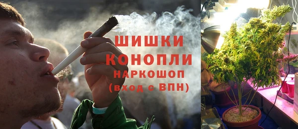 кокс Бородино